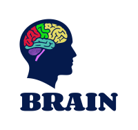 HUMAN BRAIN RISE/FALL