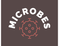 MICROBES MOLECULAR SECRETS