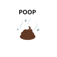 HOW TO DONATE YOUR POOP