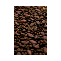 SCIENTISTS GROW COCOA CELLS