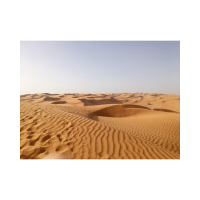 COSMIC RAYS TURN SAND INTO TIME MACHINE