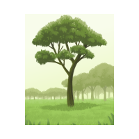 SCIENCE WARNS RHODAMNIA ZOMBI TREE CAN VANISH IN A GENERATION