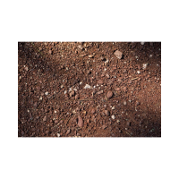 GRAPHITIZED BIOCHAR REWIRES SOIL MICROBES